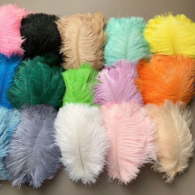 Colorful Ostrich Feathers 15-20cm Ostrich Feathers for Trendy Photo Background Walls, Feather Cake Decorations, DIY Decoration
