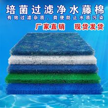 �~���^�V�����������~���^�V���σ����V����������ּ�������ɫ��