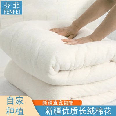 新疆棉花新疆直发花被子被芯春秋棉被冬被铺底棉絮床垫被学生褥子