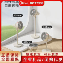 ĳƷA՚ѭhȼLȴLu^pFGA2001