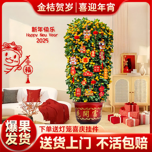 ��ۘ����Ԏ����͏d�Gֲ�҃ȴ���ֲ���k���҆��w��լ������Ә���