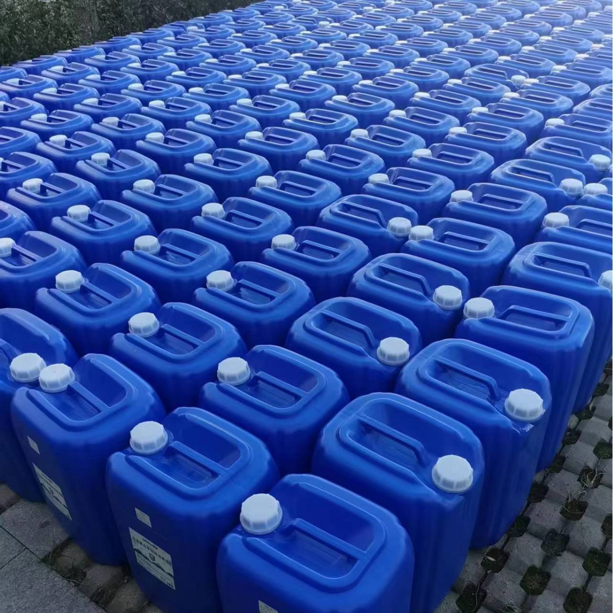 2025-03-20 14:39:09.jpg