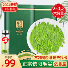 信阳毛尖官方旗舰店绿茶2024新茶明前嫩芽250g特级浓香型茶叶春茶