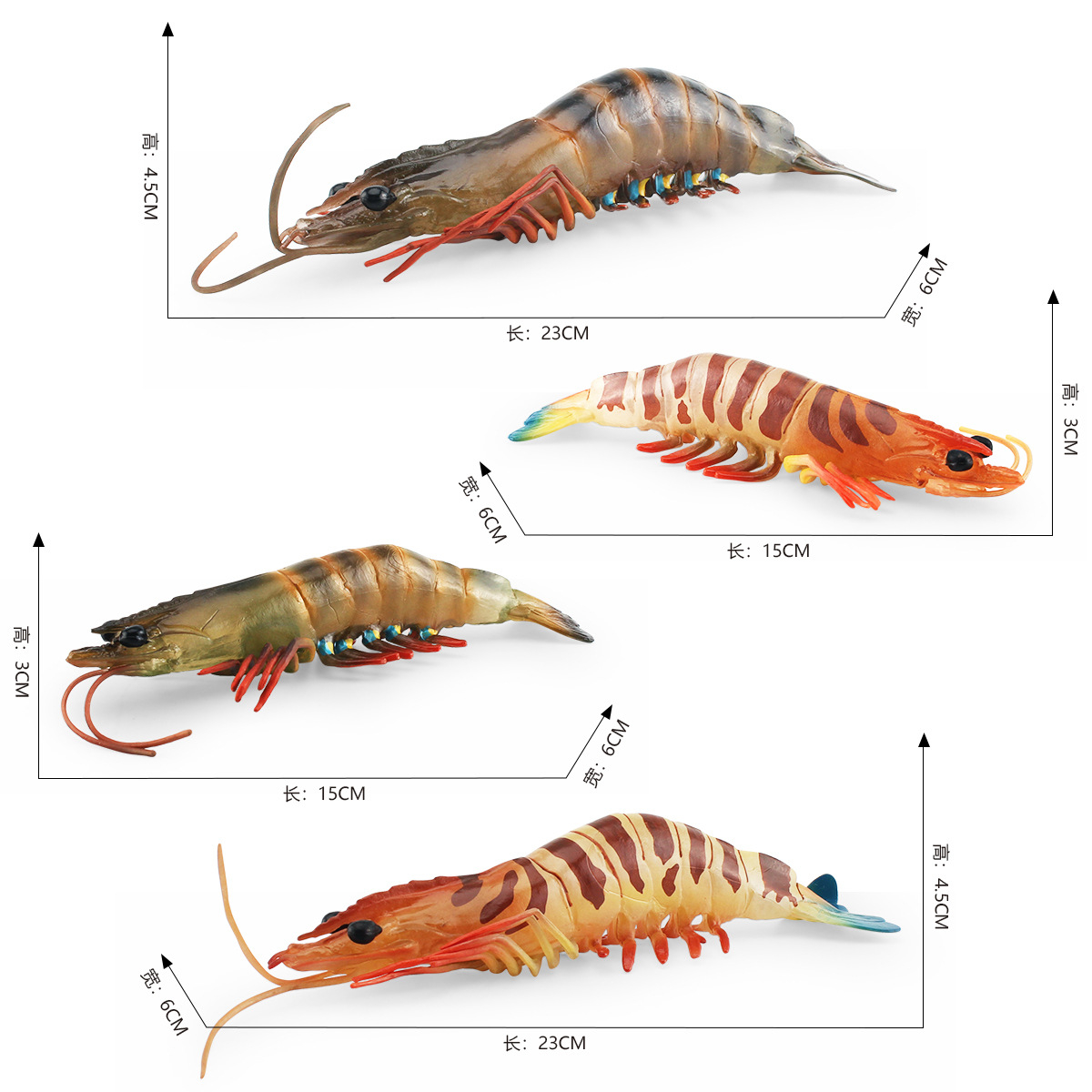 Simulación transfronteriza modelo biológico marino cognición infantil Penaeus monodon acuático camarón tigre submarino animal adornos estáticos