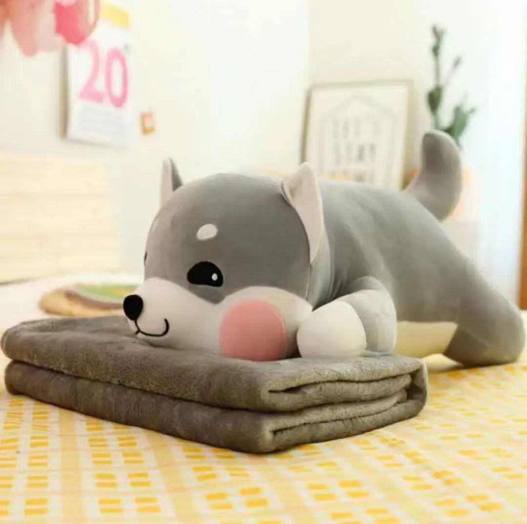 시바견 그레이 60cm