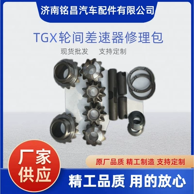 TGX wheel differential repair kit