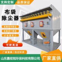 中央木工粉尘收集器 工业锅炉单机耐高温环保设备 脉冲布袋除尘器