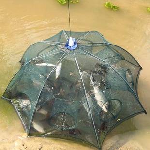 Fish Net, Fish Cage, Fishing Net, Fishing Net, Mud Eel and Eel Catching Tool, Lobster Fishing Net, Shrimp Catching Cage, Umbrella Net