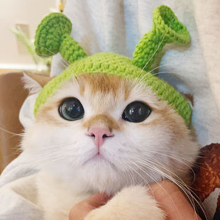 Zhu Bajie Pet Hat Cat Headgear Dog Cross-Dressing Puppy Wool Knitted British Short Cute Photo Zhao Zhiqian