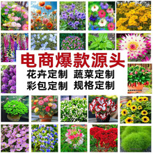 ���N���ļ����N�_��������ղݲ�˹�շN���̨ͥԺ�׷N���ܻ��N��