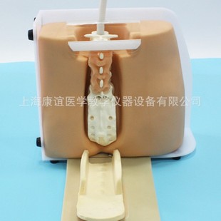 Kay-L68 Spinal Puncture Model Nursing Skills Training Model Lumbar Puncture Model