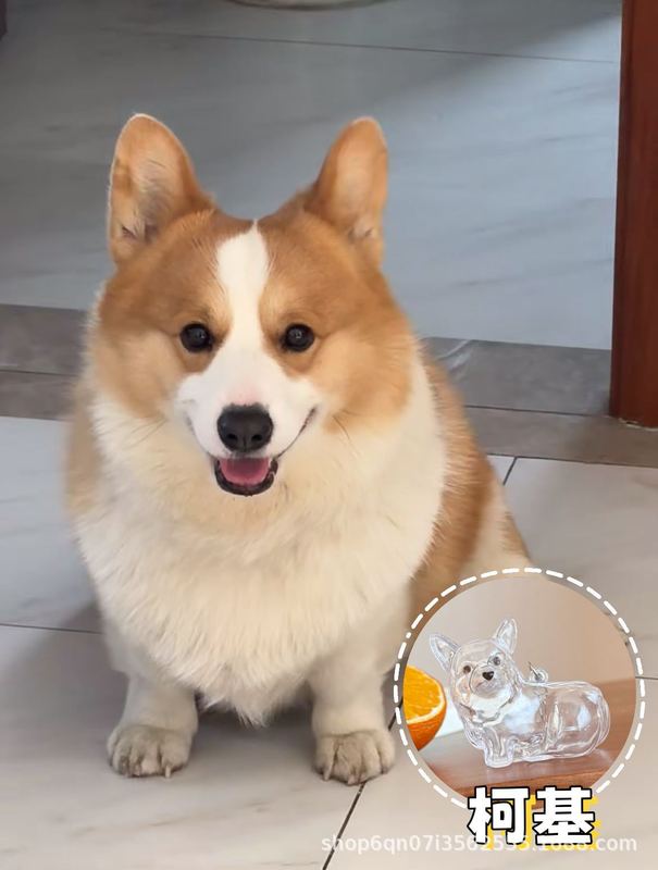 ペット柴犬メカテディカウボーイ刺繍ベレー帽レース子犬かわいいスカーフよだれかけ猫プリンセススタイル|undefined