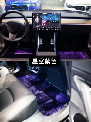 Mats, Ayaqaltılar (Kovriklər) - five-seat-mats-purple