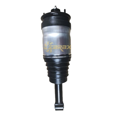 Absorber Assembly Rpd000309, damping system