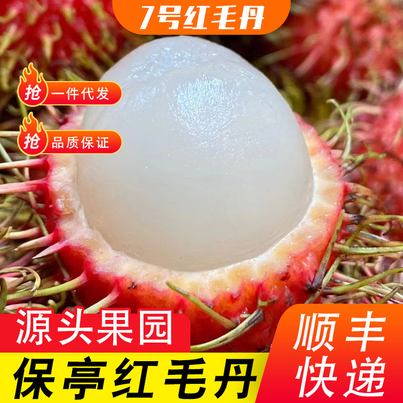 海南红毛丹新鲜水果毛荔枝批发一件代发包邮|ms