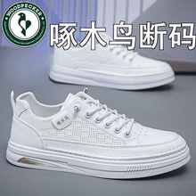 啄木鸟夏季男鞋男士夏季休闲鞋镂空网眼薄款新款啄木鸟洞洞鞋板鞋