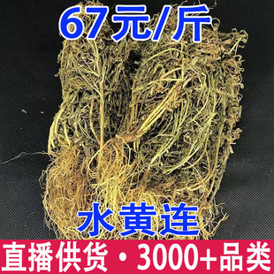ˮ�`֥ ˮ�S�B ˮ�Sɏ �~đ����؛���l���l