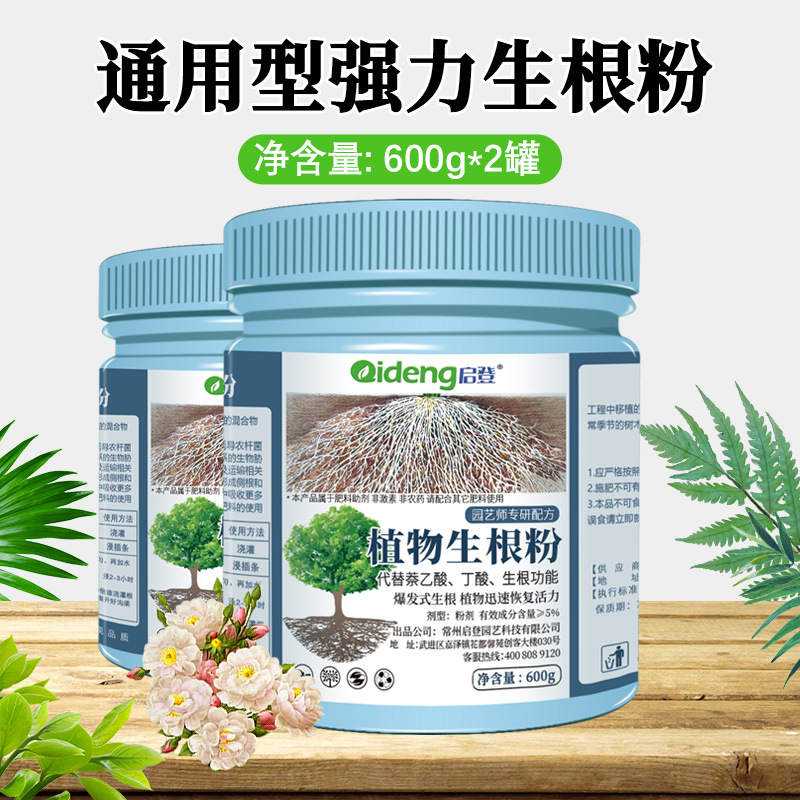 [가성비 더블캔] 발근분말 600gx2캔