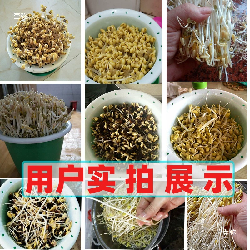 Банка для пророщенной фасоли, бытовая ёмкость для проращивания фасоли, горшок для проращивания фасоли, чёрная фасоль, соя, маш-минтай, сырые ростки фасоли, машина для проращивания ростков, другое