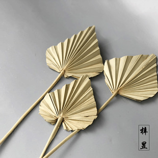 心形扇小扇叶原色扇叶巴掌扇小蒲扇小葵扇干花棕榈叶干花-阿里巴巴