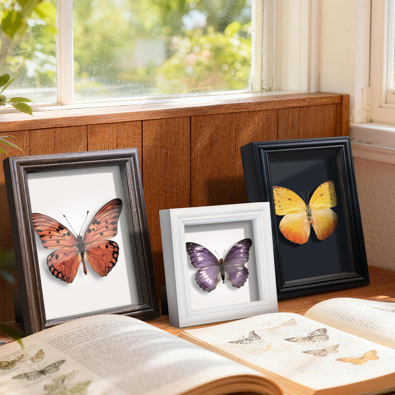 Three-Dimensional Square Hollow 2cm Photo Frame Empty Frame A4 Butterfly Insect Specimen Framing Dried Flowers 678inch Display Wholesale Three-Dimensional Square Hollow 2cm Photo Frame Empty Frame A4 Butterfly Insect Specimen Framing Dried Flowers 678inch Display Wholesale