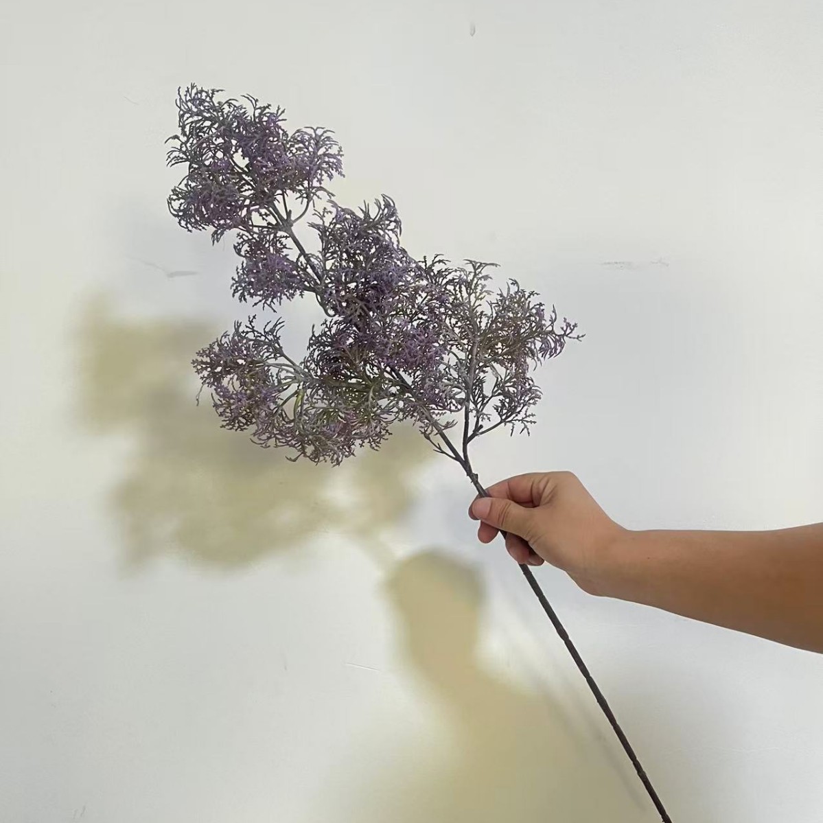 밝은 보라색