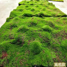 ����̦�\��ƺ��̦�辰��������ܛ�b�G�ؠ����̦�\