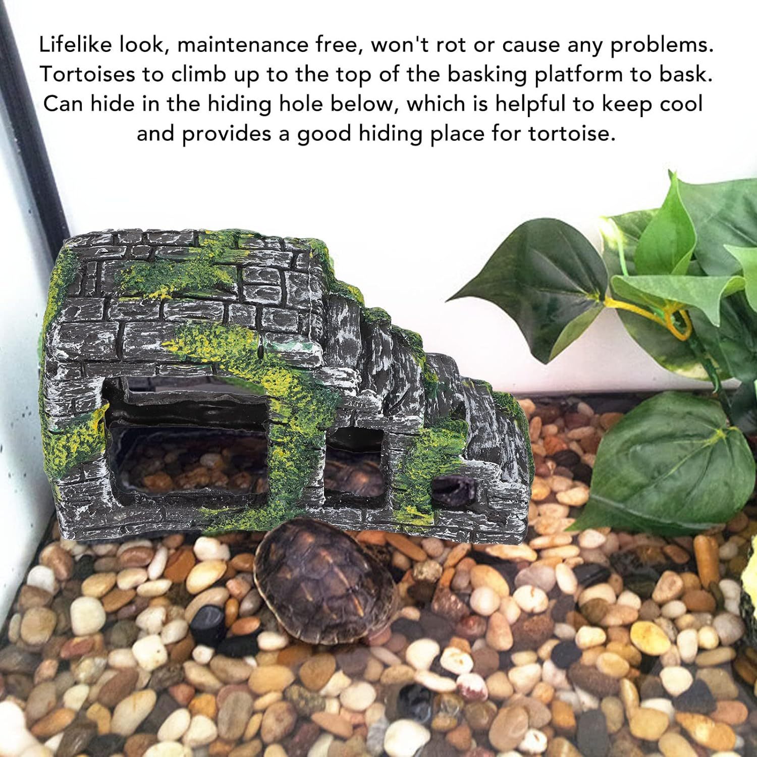 Mascota de escalada, plataforma de secado de tortuga, plataforma de escalada, tanque de tortuga, paisaje, plataforma de piedra de espalda, alto nivel de agua, refugio, casa de cueva, modelo de descanso, plataforma de tortuga