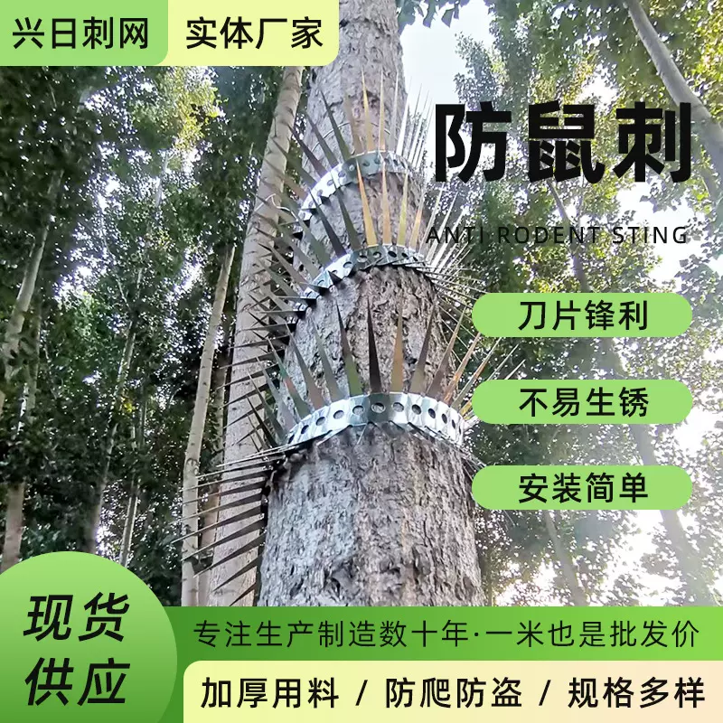 钢头专用护栏管道围栏不锈钢防蛇防猫神器防鼠刺网水管果树果园用