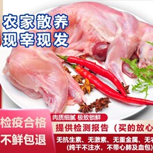 ���Sֱ�������r��������F�������r����