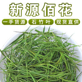 厂家批发崂山竹叶茶 新货石竹叶茶 青绿茶散装500g淡竹叶茶叶包邮