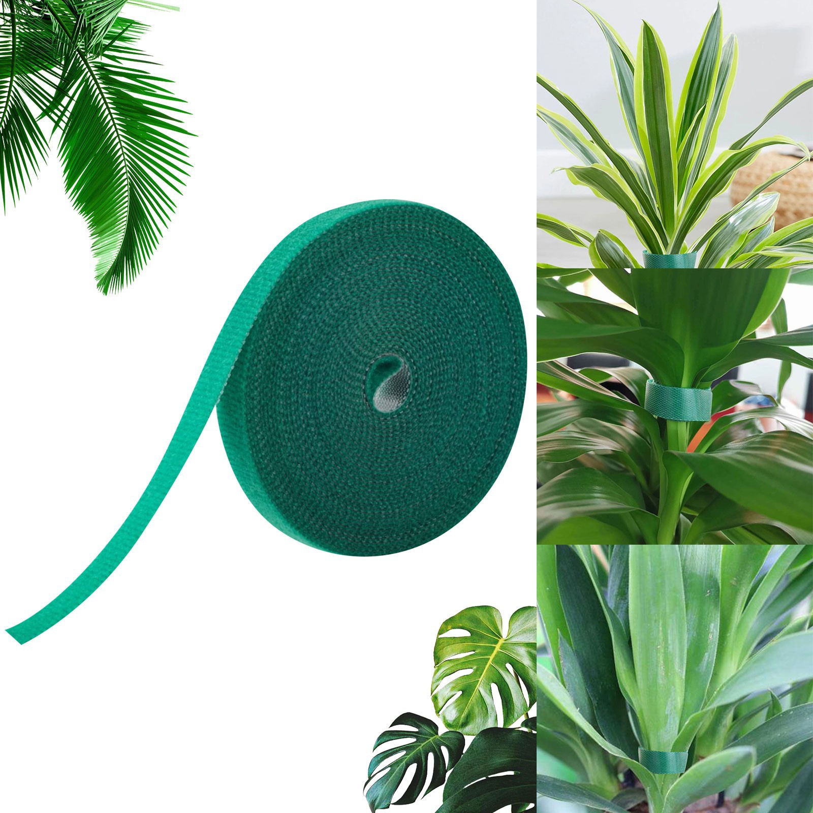 ������ֲ����԰��ħ�������ߴ���ɫֲ�����̶���֦�廨����֧��