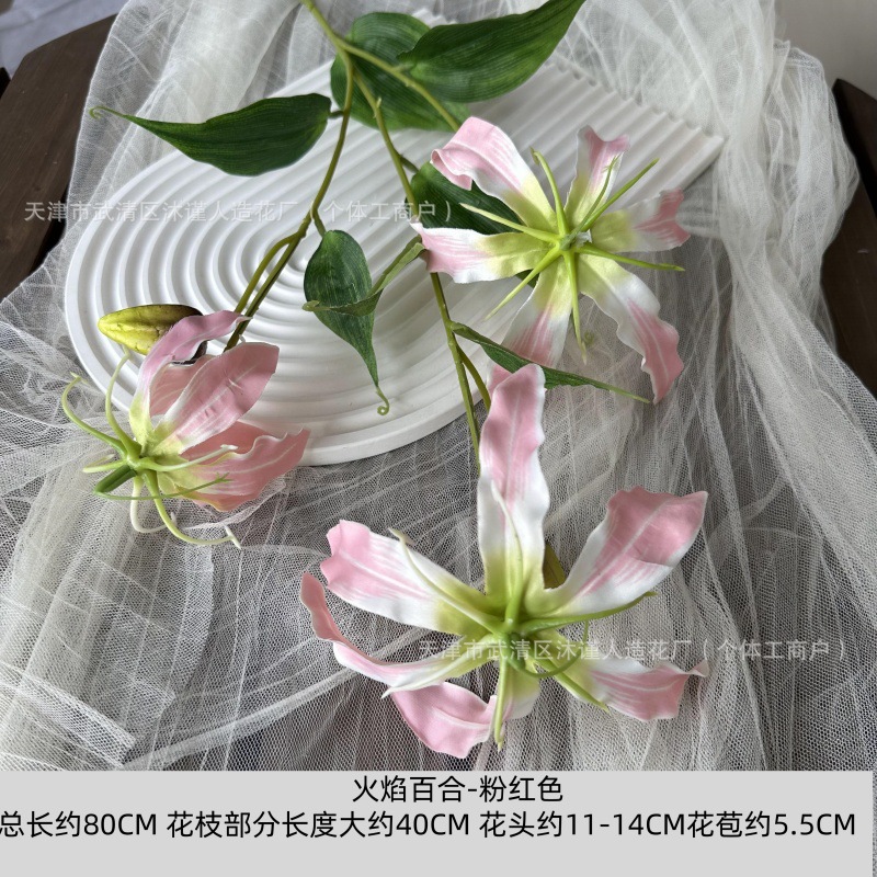 불꽃 백합