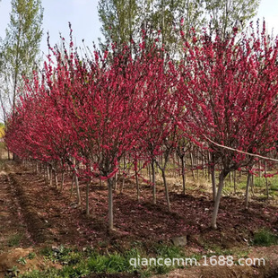 ���~������ͥԺ�^�p�һ��t�~���Ҙ���e���L���乤�̾G�������~��