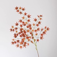 ��������~�uצ�ʾGɫ������~�����������b�Ʒ�����~�Ӽ�ֲ��