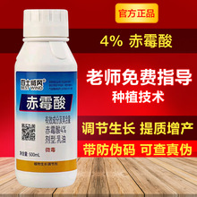 500毫升4%赤霉素920种子植物催芽剂赤霉素厂家保花拉长膨大果实