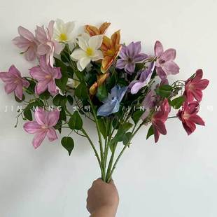 �羳���R�d�F��ɏ 8ɫ���滨�c��zӰ���߻�c�b��Ƶ��bٻ�
