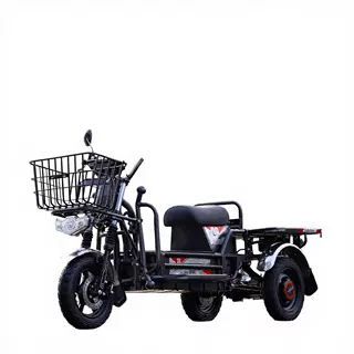 重型电动货运摩托车 三轮开放式车体 400公斤有效负载 >1000W 30-