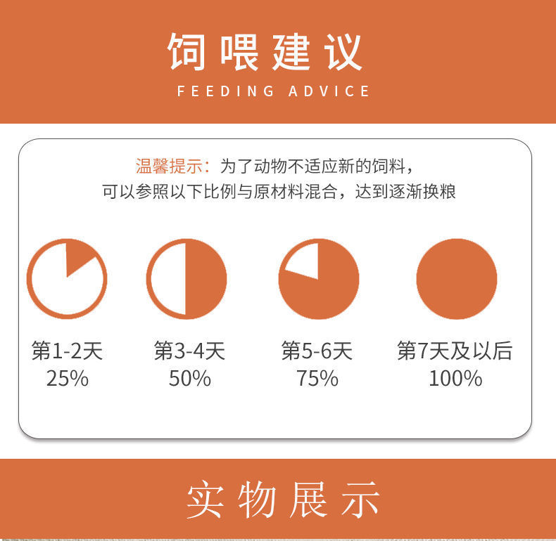 10e4a7a4-cc07-46d2-a9de-422d8e9250c1.jpe