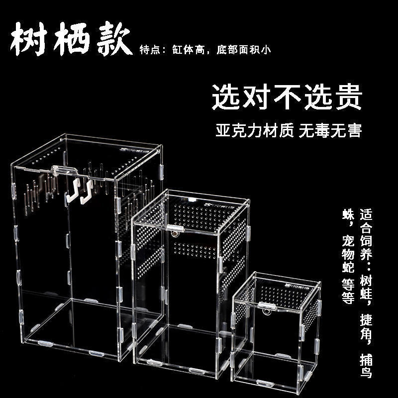 Increase the acrylic breeding box to climb the reptile lizard lizard…