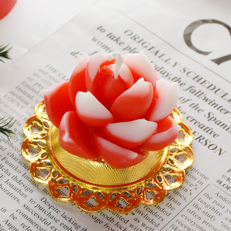 Plantas suculentas flores vela decoración del hogar en el viento regalos de boda regalo de navidad ideas de cumpleaños