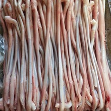 精修去油猪鞭泡酒中药材火锅烧烤食材油炸宠物食品直销新鲜猪小弟