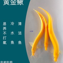 ��ˮ���q���ɫ�坍�~�����~�������B�ͻ��¾����^�pС���~