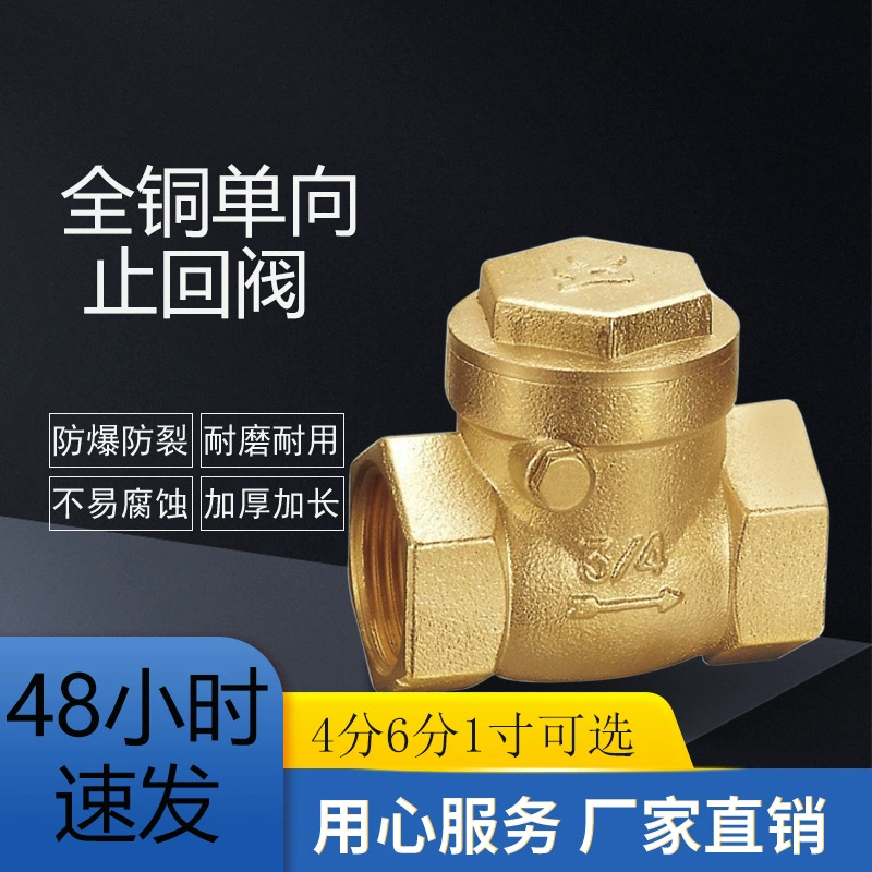 6-точечный обратный клапан Обратный клапан 4-точечный односторонний обратный клапан Обратный клапан Латунный обратный клапан 1 дюйм медный клапан Обратный клапан