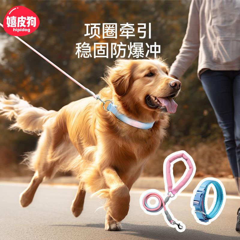 Correa de Tracción para Perros Grandes, Resistente, para Paseo y Entrenamiento