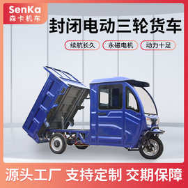 拉货电动三轮车油电两用家用农用货车三轮农场电瓶车跨境专供重载