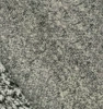 SY12383-11