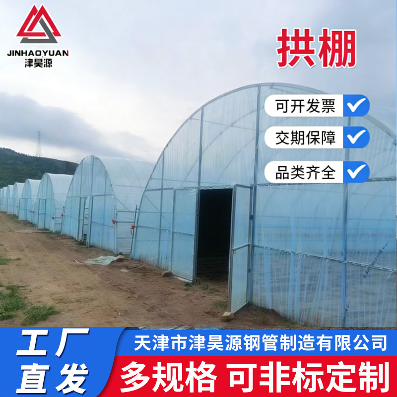 Agricultural Planting Greenhouse Arches, Flower and Vegetable Strawberry Greenhouses, Manufacturer Construction and Installation