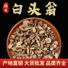 东北大货够含量白头翁 无硫白头翁