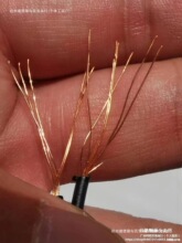 ~䓱;500707ͨӍpgԒȏV